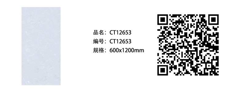 CT12653.jpg